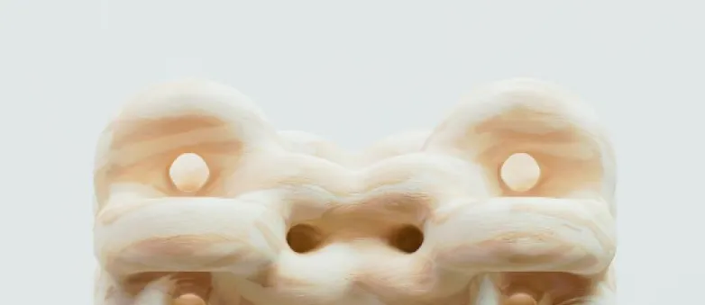 project image 0.webp